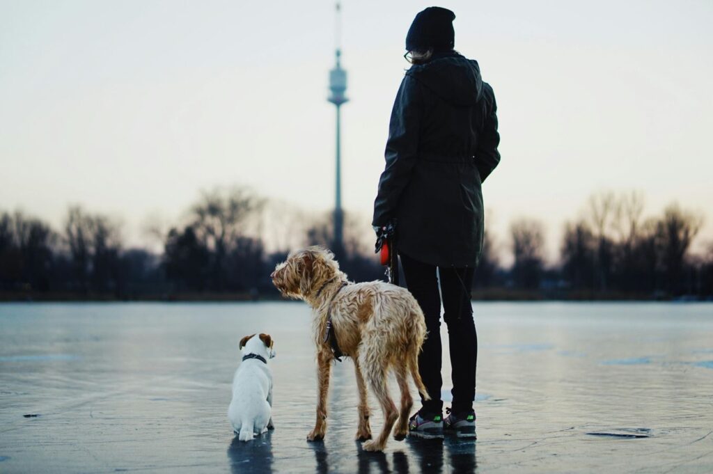 Pet Friendly Hotels in Somerset KY with two dogs and a friendly pet owner