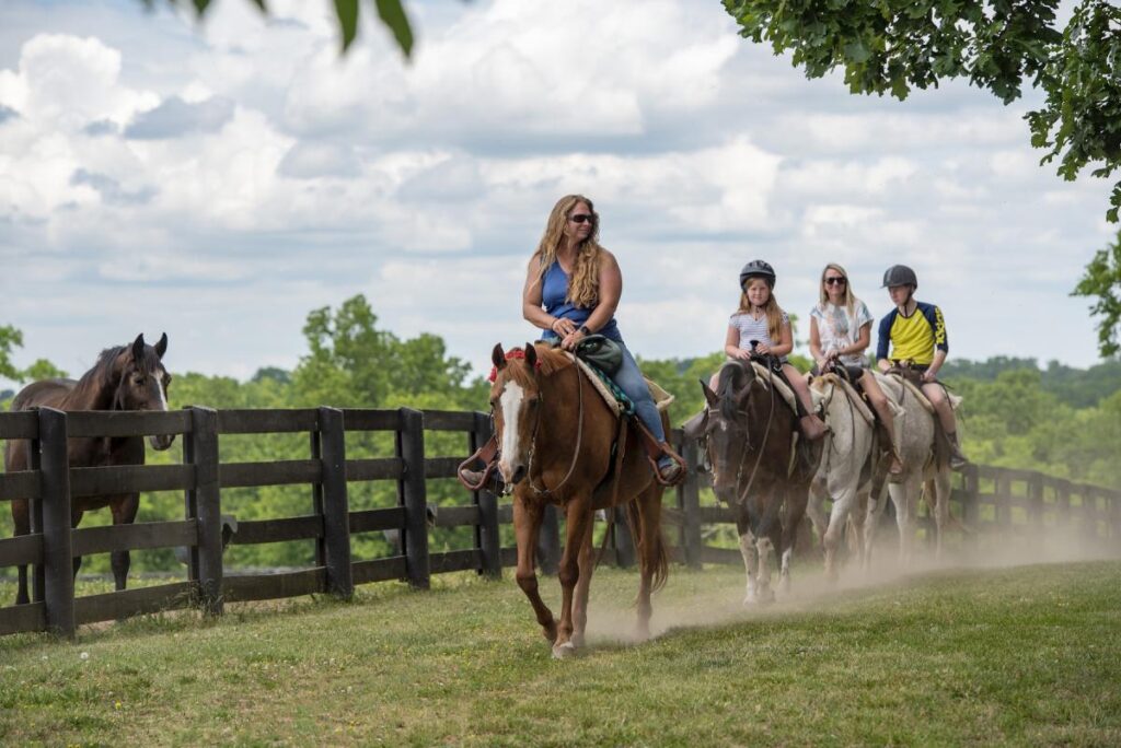 Lady on a horse at Kentucky horse park close to Hotels near Kentucky Horse Park Lexington KY